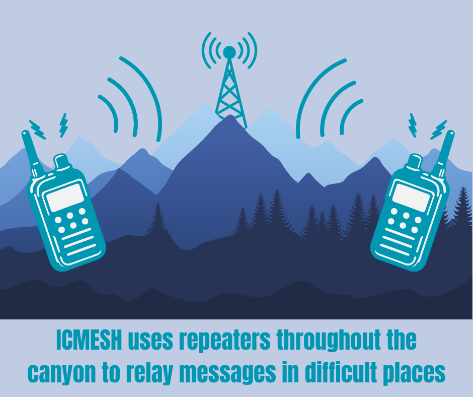 Mesh Network Message Path Example